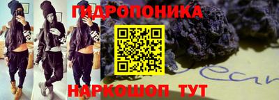 молекула духа Бийск