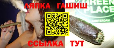 гашик Дубна