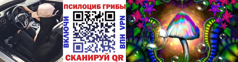 наркотики  Майкоп  Псилоцибиновые грибы Magic Shrooms 
