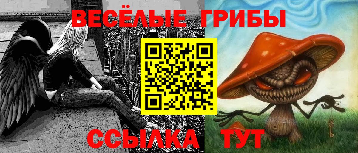Псилоцибиновые грибы Cubensis  Вход с VPN  Галлюциногенные грибы MAGIC MUSHROOMS  Майкоп 
