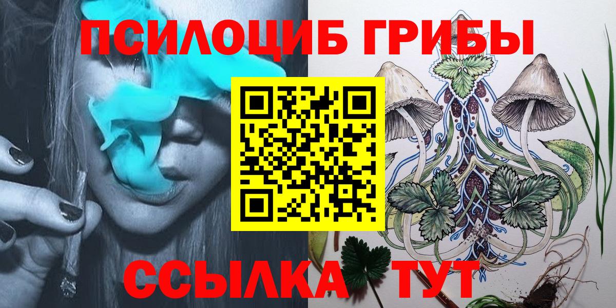 Псилоцибиновые грибы Cubensis  Галлюциногенные грибы Psilocybe  Майкоп 